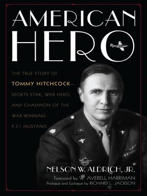 cover image of American Hero